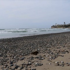 future & gunna & lil baby type beat "ocean breeze"