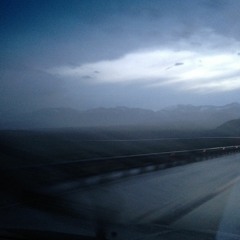 This One's For The Lizards