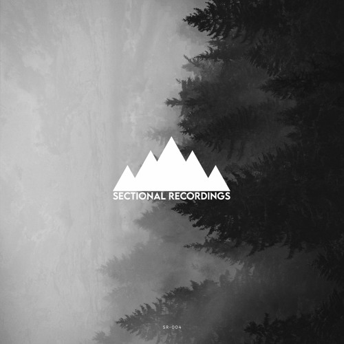 Cup & String - Reality