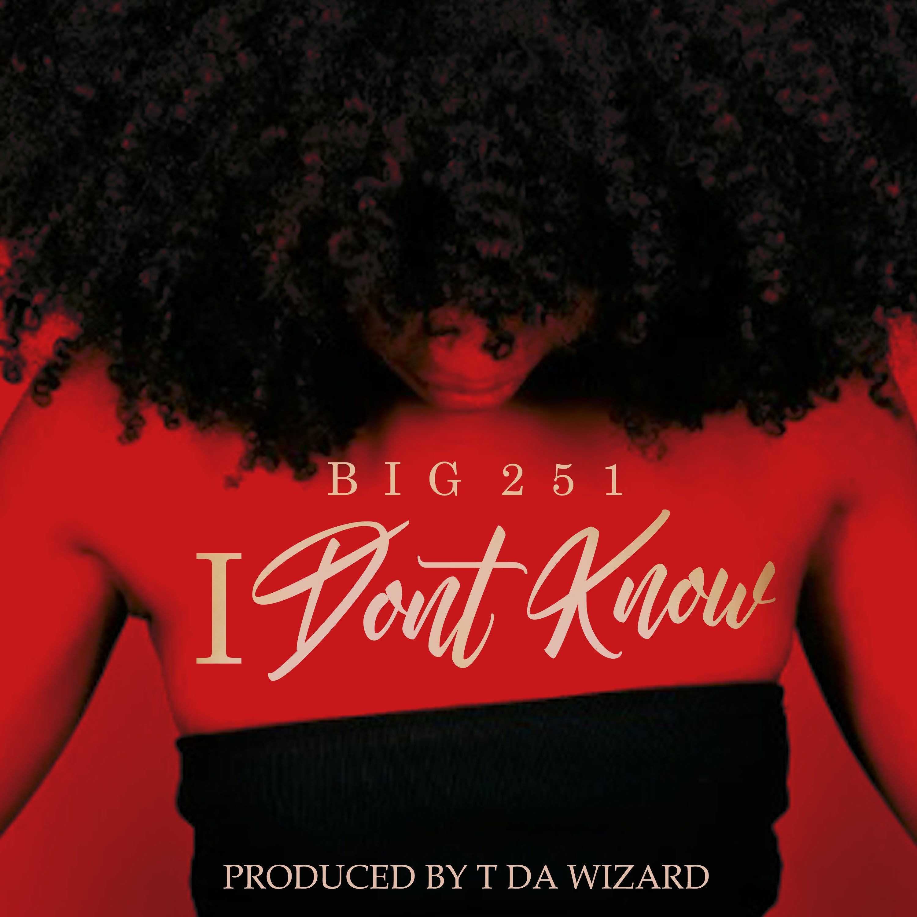 Big 251- I Don't Know episode artwork