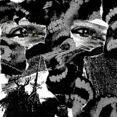 Fleurs Et Venin. Ft Verseaux