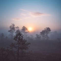 The Forest Awaits - SALU demo (Orchestral Tools)