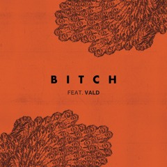 Bitch (feat. Vald)