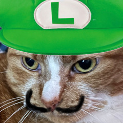 Face Today, Die Tomorrow