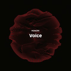 Voice