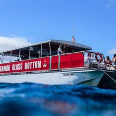Review Special Price Waikiki Beach Glass Bottom Boat Cruise