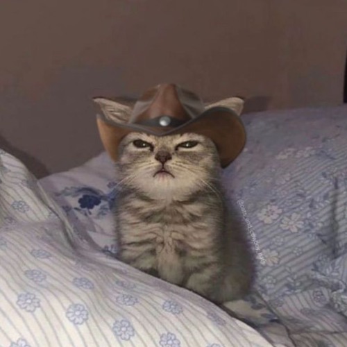 that that HA - psy (piroli vogue edit)