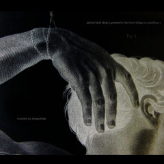 distorted diary present: les horribles travailleurs, rooms to breathe