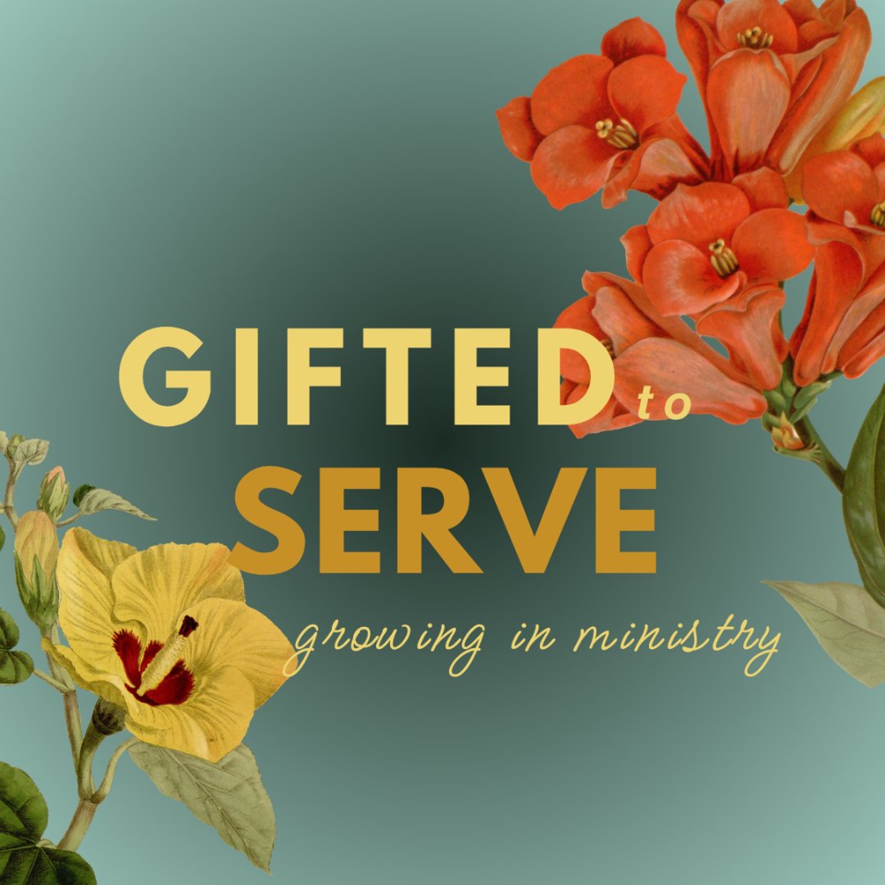 Gifted to Serve: Gifts of Generosity - Matt 14 :3-21 - Chris Easley episode artwork