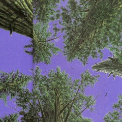 refracción: ED y alo @ caprisono 2025