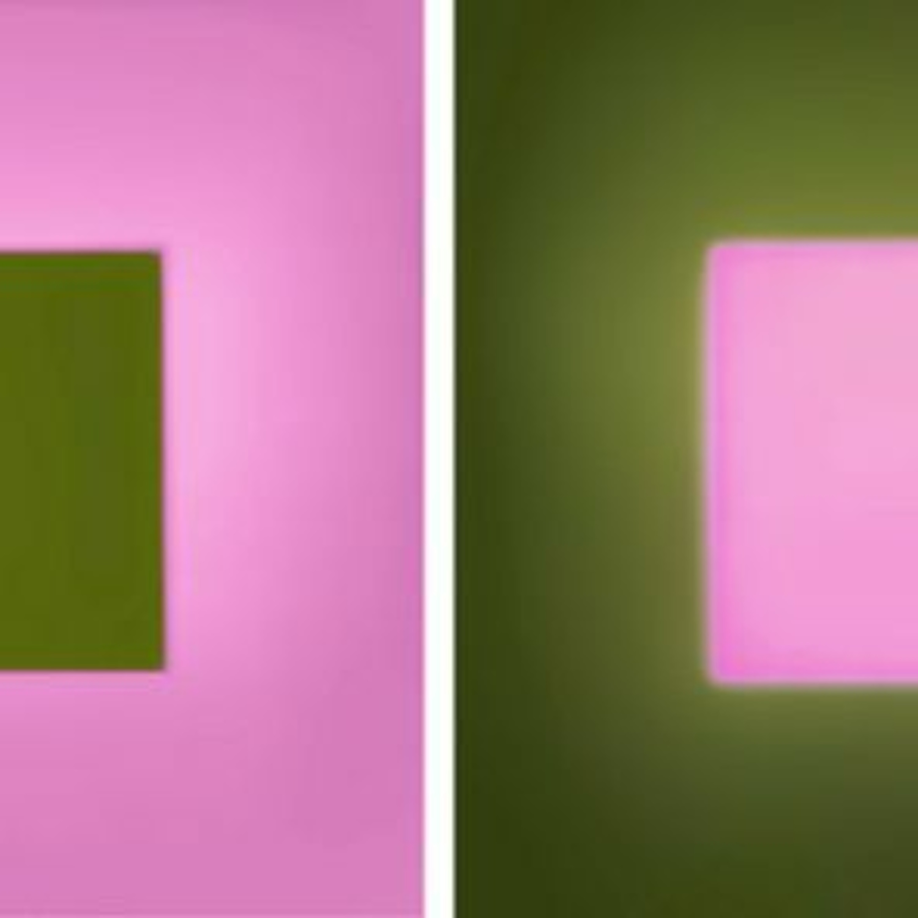 The Colour Fields: Green Encloses the Softest Pink / Pink Enclosing the Green Field (diptych), 2021 episode artwork