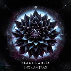 BNØ & AMTRAX - Black Dahlia [Free DL]