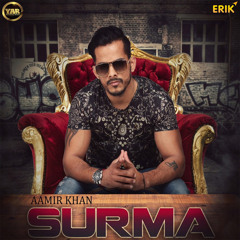 Punjabi (1 of 1)