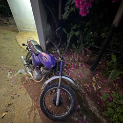 SEHEN WAS ICH SEH @400maxim