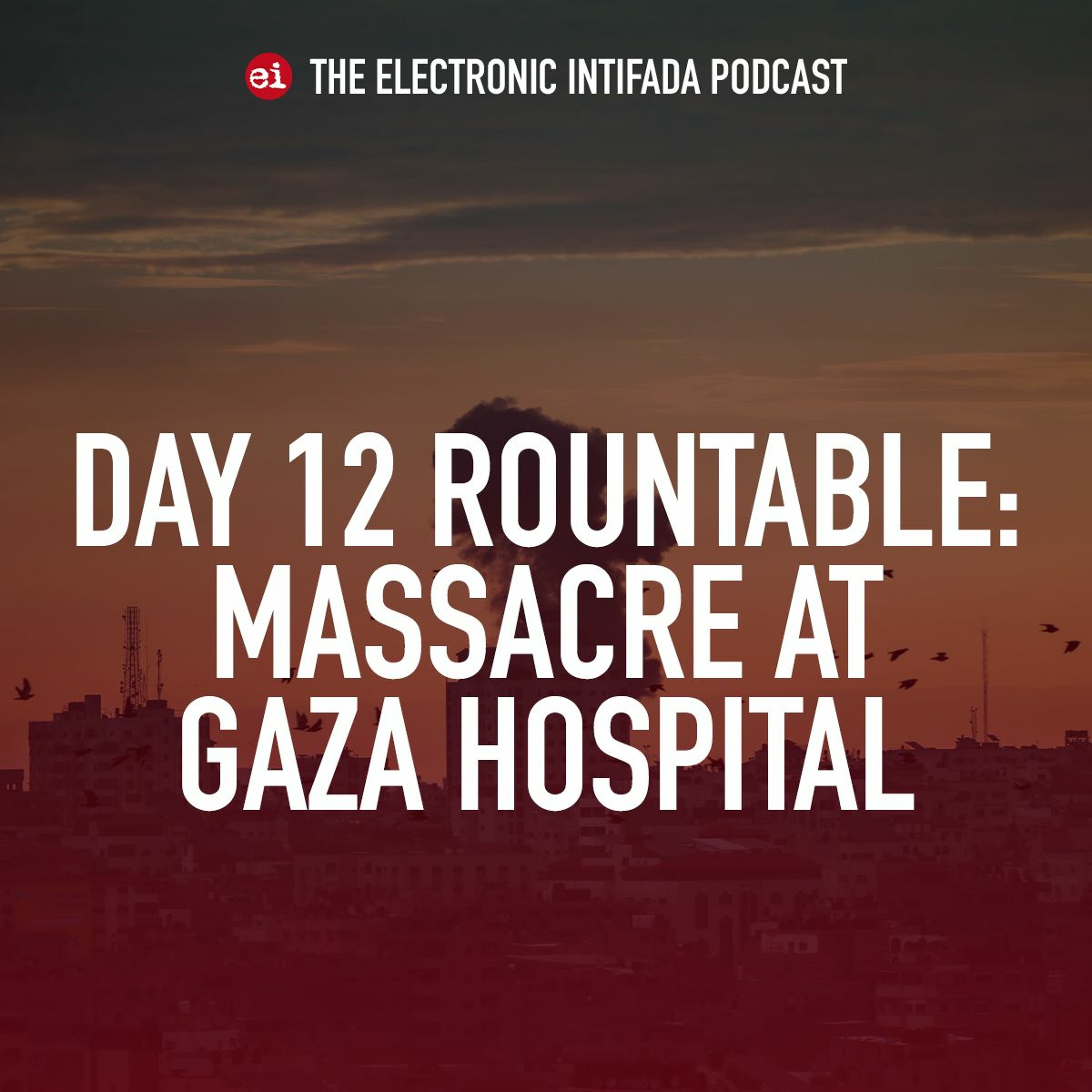 Day 12 roundtable on Israel's attacks on Gaza