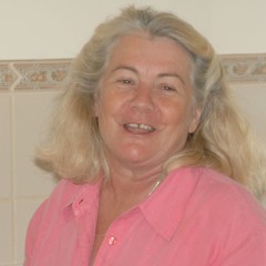 Steal Away  Terry Reddy/ Steamfolk