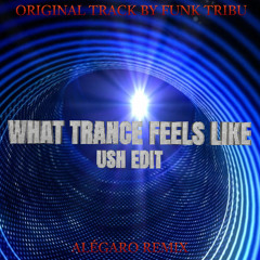 WHAT TRANCE FEELS LIKE EDIT (Cover by USH) [ALÉGARO Remix] [Free DL]