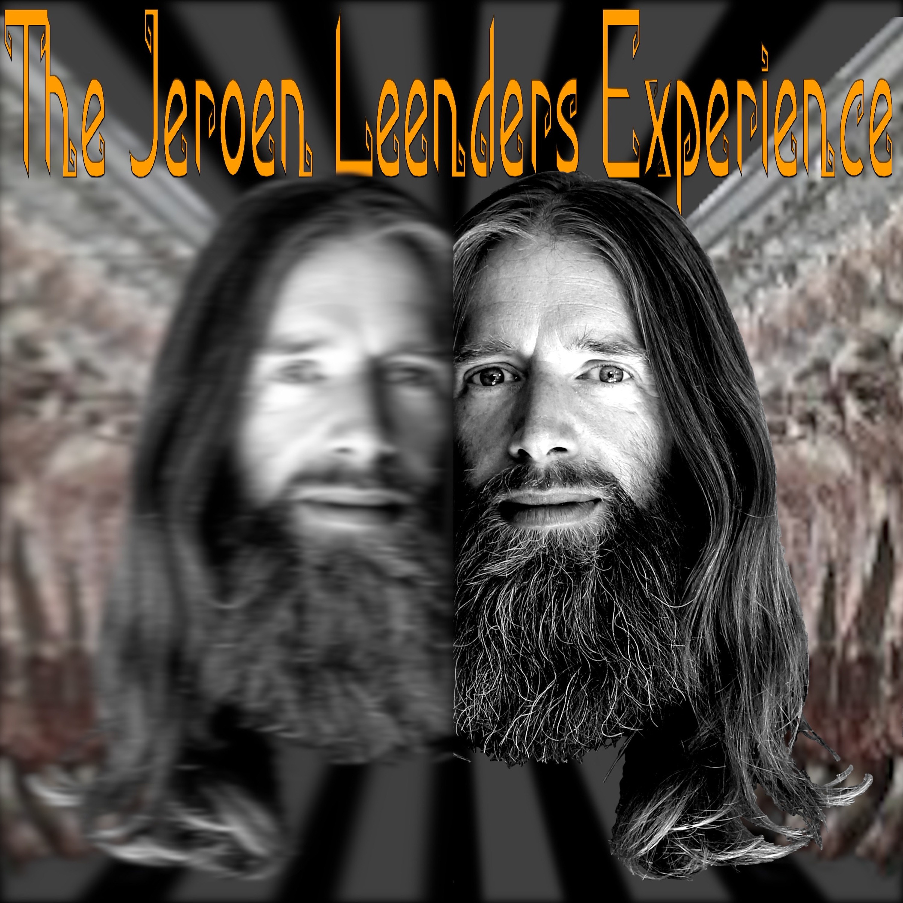 Jeroen Leenders Experience
