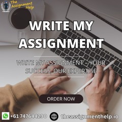 Write My Assignment – 24/7 Support Available