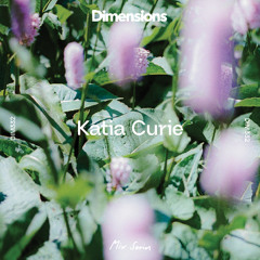 DIM332 - Katia Curie