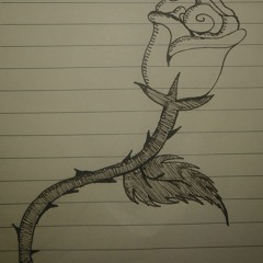 My Delicate Rose...