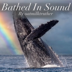 “Bathed In Sound” by oatmilktruther (OFMD)