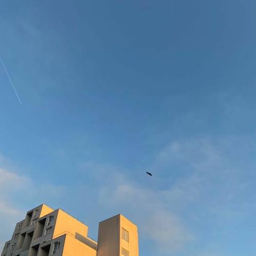 blue blue sky (dawless ambient live session)