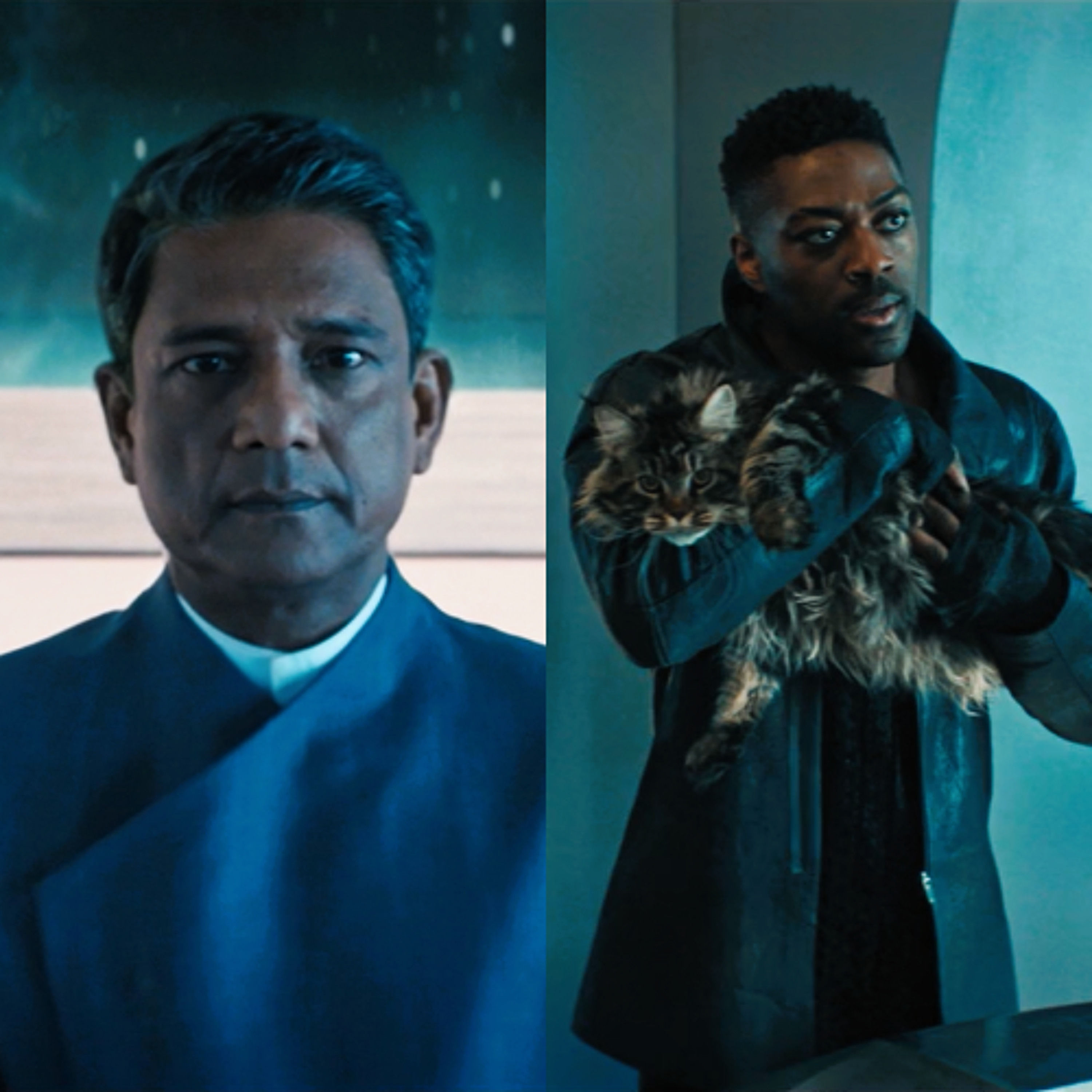 A Star to Steer Her By