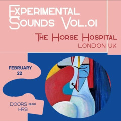 the flooded slate pipes -live at the horse hospital, london 22.2.26