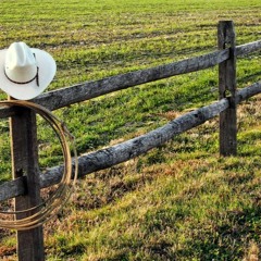 We Didn't Have Much-Justin Moore cover