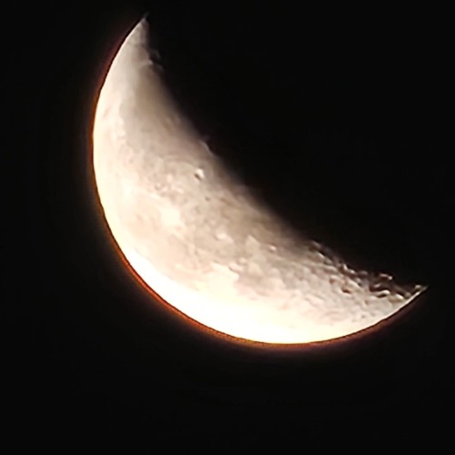 Living In The Shadow Of The Sun