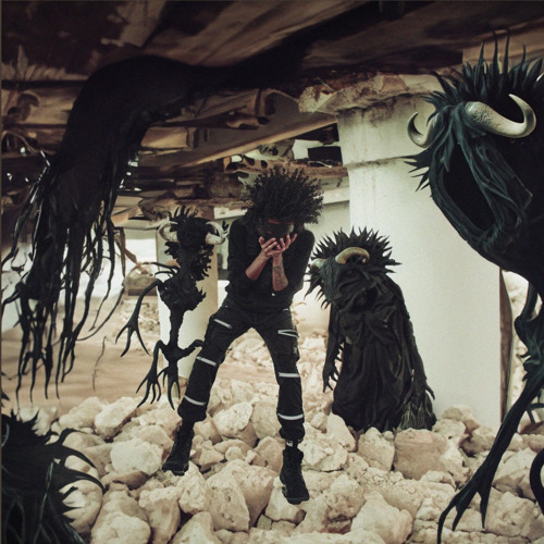 Buffalo_Farm - Bruh
