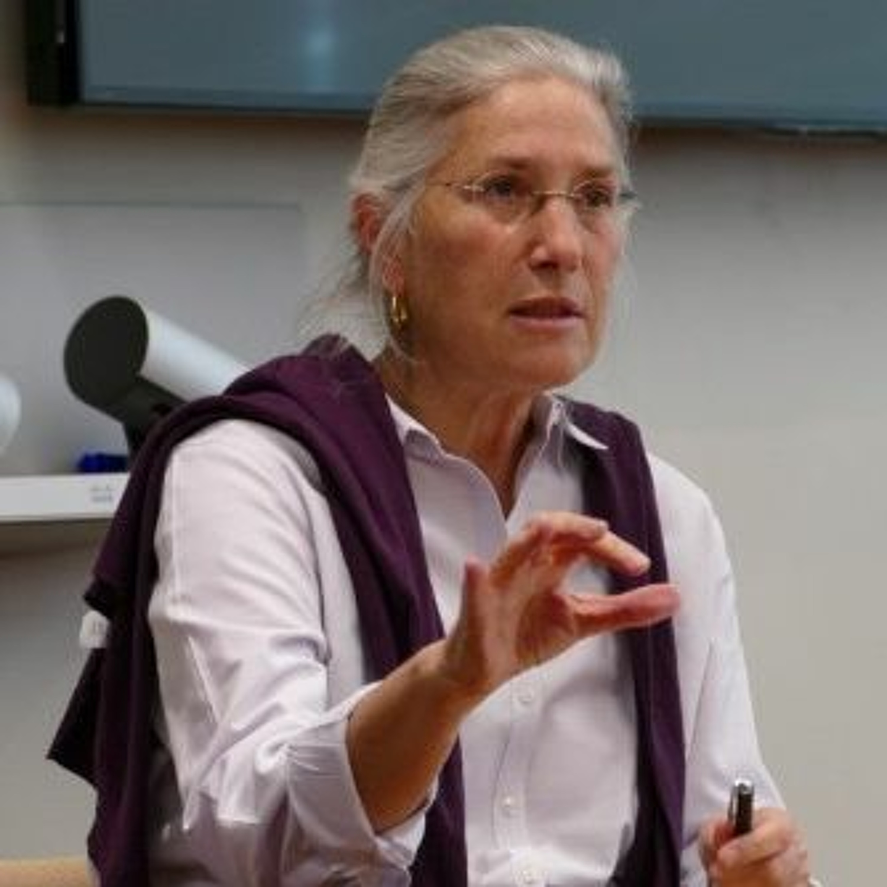 Next Moves on Climate Policy: A Conversation with Sue Biniaz