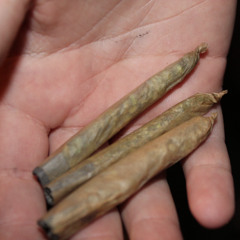 holdup prod panotune