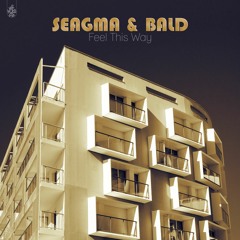 Seagma & BALD - Feel This Way