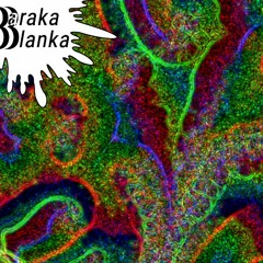 Baraka Blanka - Brainwasher