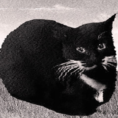 Maxwell the Zaagcat (Veldrin Remix)
