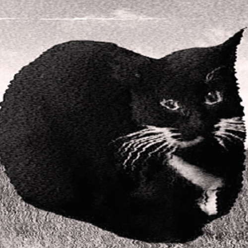 Maxwell the Zaagcat (Veldrin Remix)