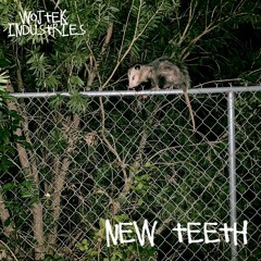 New Teeth Live
