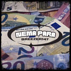 NEMA PARA (Extended Version)