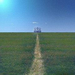 honesty was a mistake