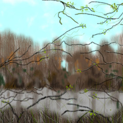 The Rain And The Tears