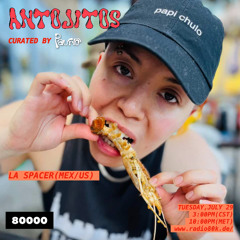 Antojitos Worldwide w/ La Spacer (29/07/25)