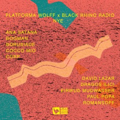 Stream Paul Popa - NYE: Black Rhino Radio x Platforma Wolff - 1st 