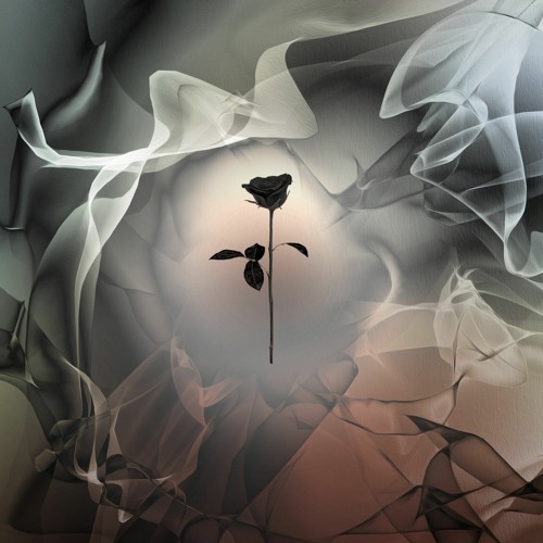 PREMIERE: Dario Gismondi - Atlantis (Original Mix) [Black Rose]