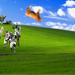 ahokichbinschonin2025fuxk