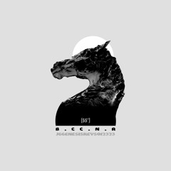 b.cc.n.r [55"]