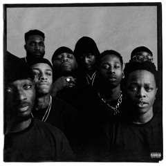 Wolves In The Park PT II