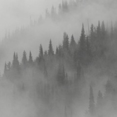 Jaune - Lost In The Mist