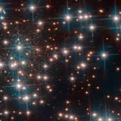 Stars and Maddens  Free$tyle By  $trayDawG90 2025